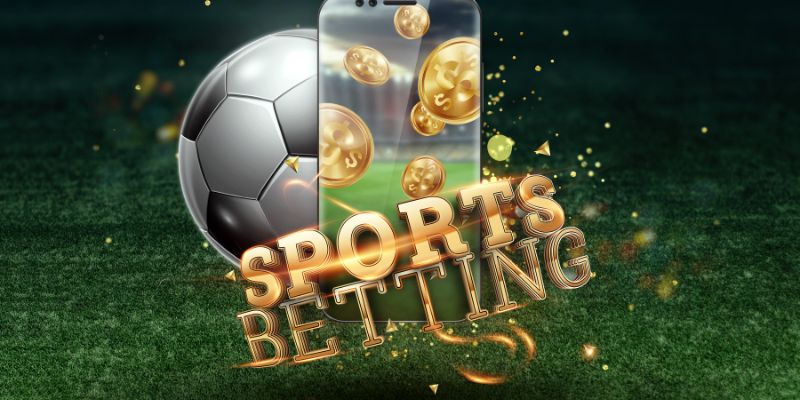 Cá độ bóng đá 58win là gì?