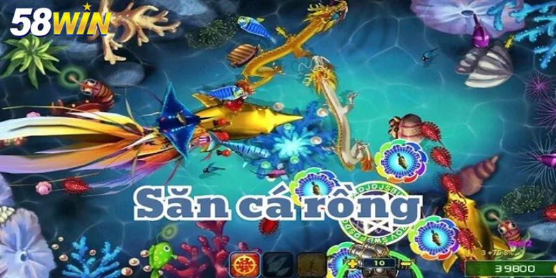 Sơ lược về bắn cá rồng